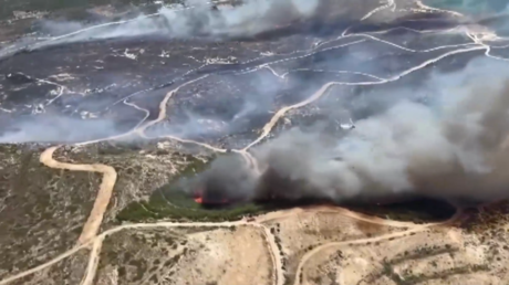 حريق الغابات المميت يلتهم منطقة سياحية في إزمير غرب تركيا