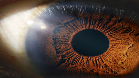 ماذا يحدث للعينين أثناء التنفس؟