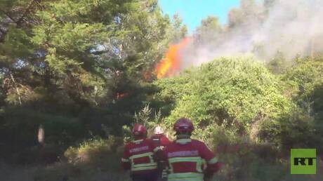 حريق غابات هائل في غرب البرتغال