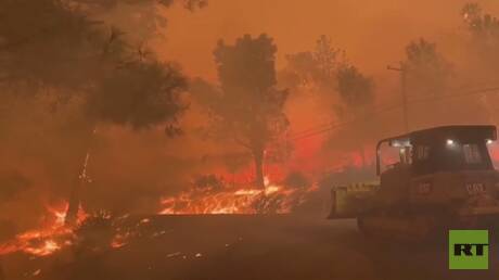 حرائق الغابات تشتعل في ولاية كاليفورنيا بالولايات المتحدة