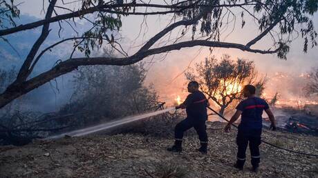 فرق الحماية المدنية التونسية والجزائرية تسيطر على حريق في منطقة الصريا الحدودية (صور)