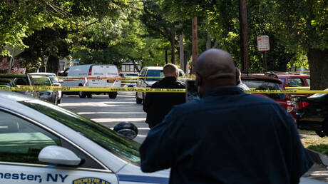 مقتل شخص وإصابة 6 بإطلاق نار في حديقة في شمال نيويورك (فيديوهات)