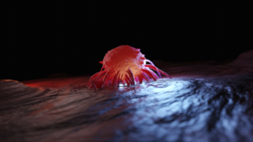 3 أطعمة شائعة 