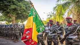 خبير: الهيئات الأمنية الأوكرانية المختصة تعمل إلى جانب المسلحين في مالي