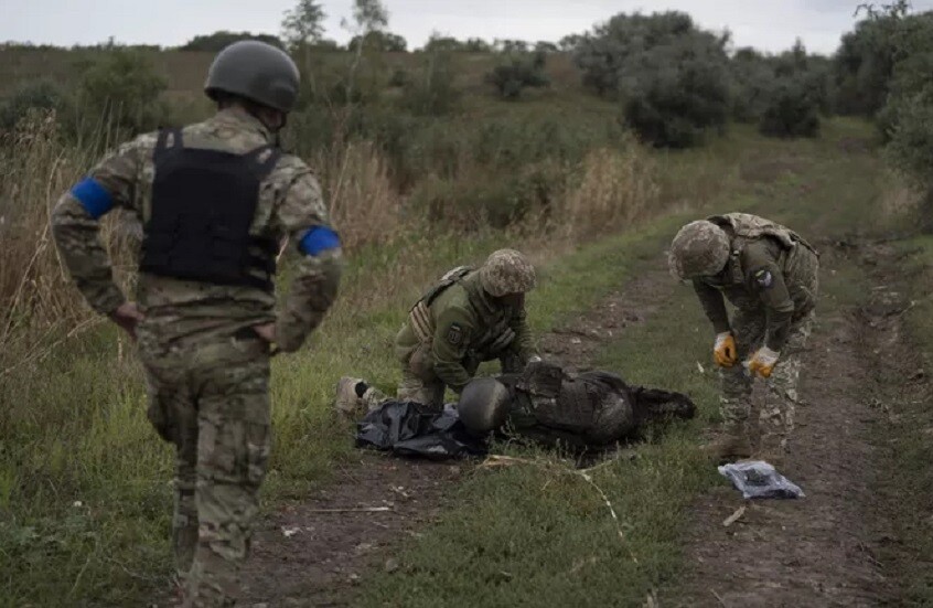 إعلام: هولندا تدق ناقوس الخطر بشأن بكتيريا "خارقة" قادمة من أوكرانيا