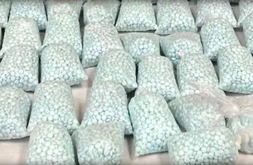 نائب أوروبي يحذر من انتشار "طاعون أسود" جديد