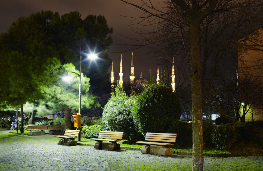 دراسة تكشف آثار التلوث الضوئي على النظام البيئي