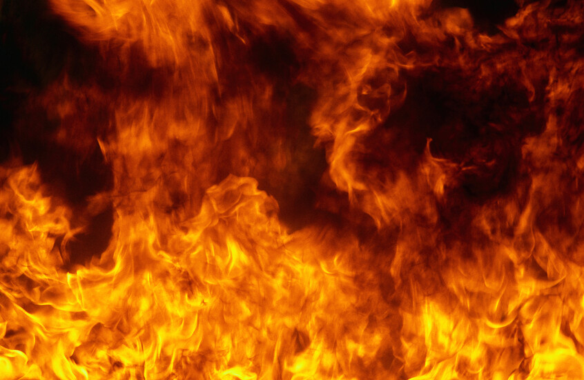 كلب يشعل حريقا في منزل مالكه! (فيديو)