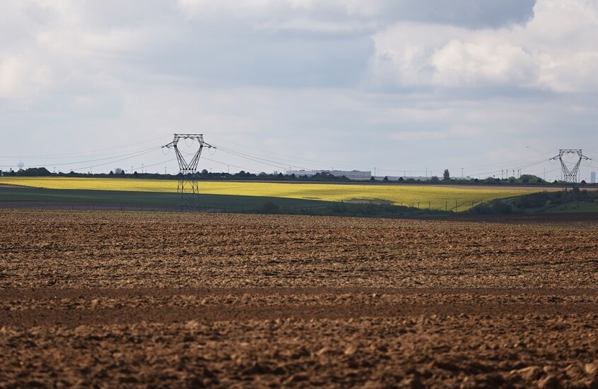 فرنسا تعلن ظهور مرض "اللسان الأزرق" قرب حدودها مع بلجيكا