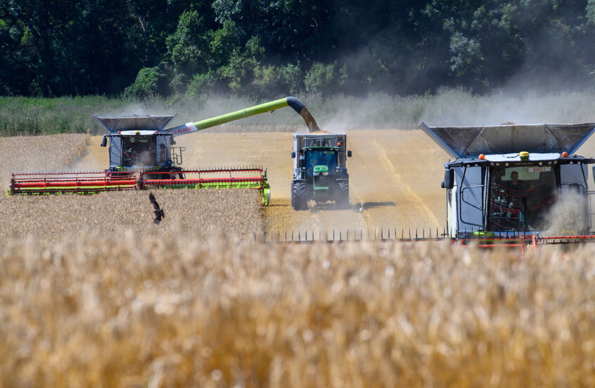 روسيا تزيد صادرات الشعير بنحو 6 مرات إلى الصين