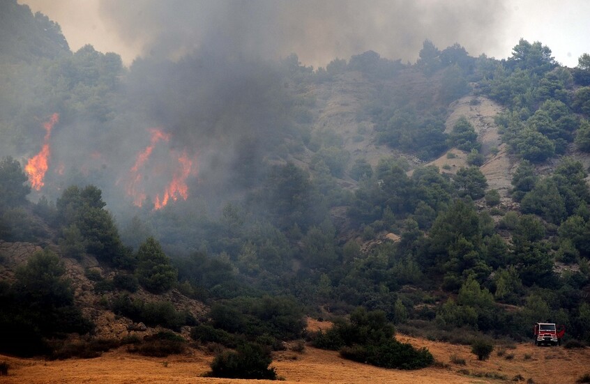 الجزائر.. رقعة الحرائق تتسع بعدة ولايات