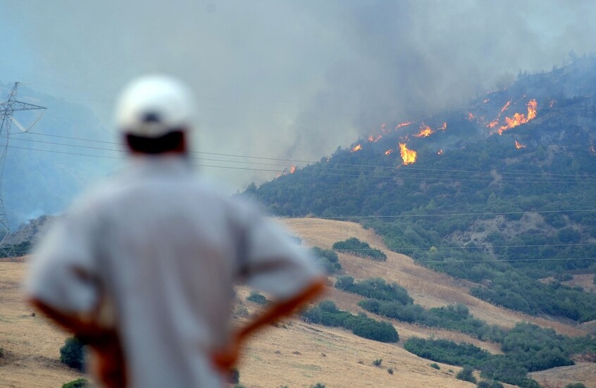 حرائق على الشريط الحدودي بين تونس والجزائر
