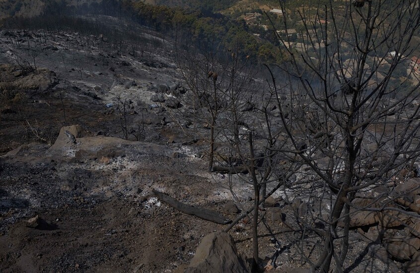 الجزائر.. إخماد جميع حرائق الغابات بتيزي وزو