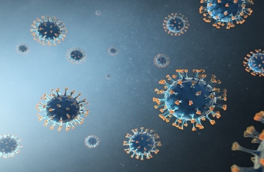 إندونيسيا.. تشديد الإجراءات للأجانب الوافدين لمنع انتشار عدوى القرود   