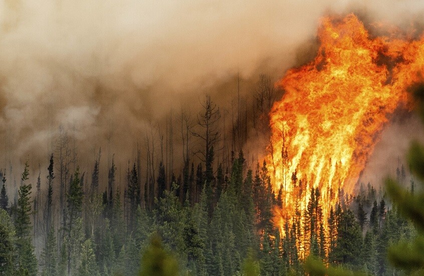 ما أسباب حرائق الغابات في كندا؟