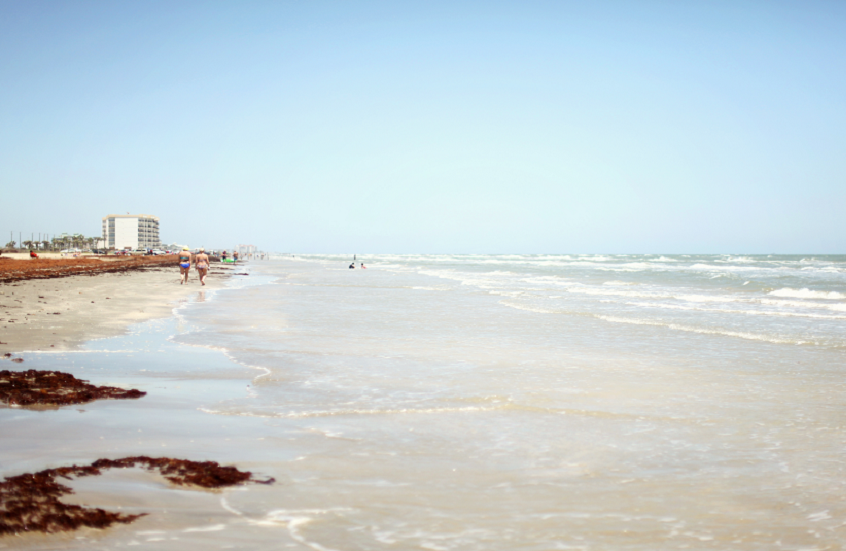 ديدان نارية تغزو الشواطئ الأمريكية!