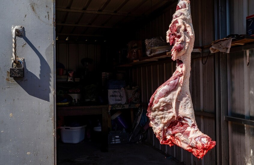 الجزائر.. السلطات تصادر كمية ضخمة من اللحوم الفاسدة