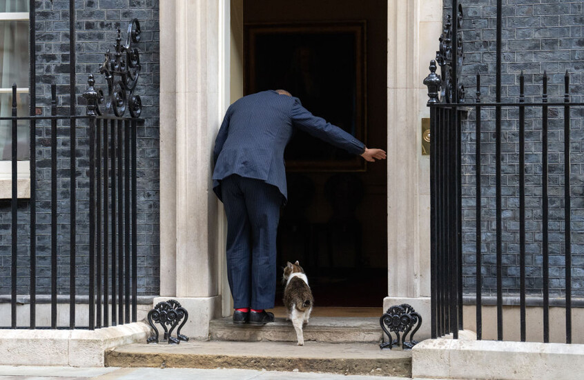 "تايمز": كبار مسؤولي بريطانيا يضعون خطة للتصرف حال موت القط لاري