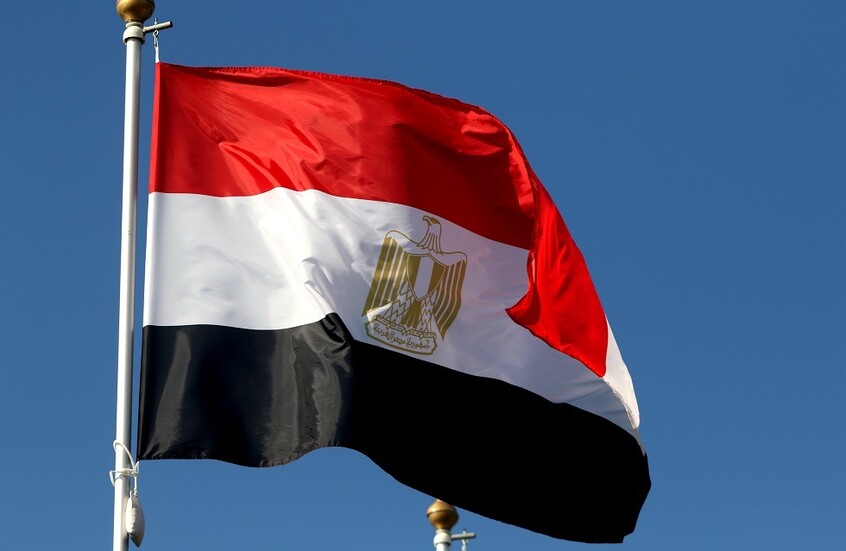 مصر.. القبض على والد برلماني لشروعه في قتل جاره بسبب الكلاب الضالة