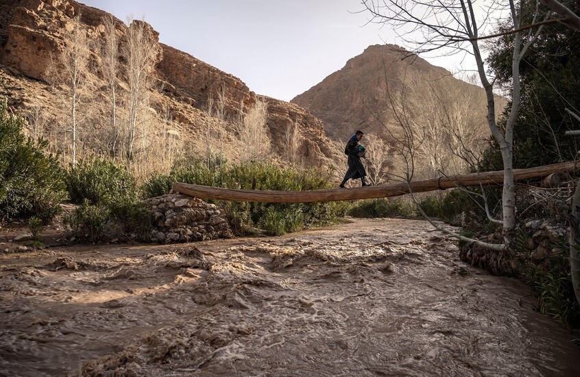 بعد السيول الجارفة.. مناطق جنوب شرقي المغرب متخوفة من تزايد خطر العقارب