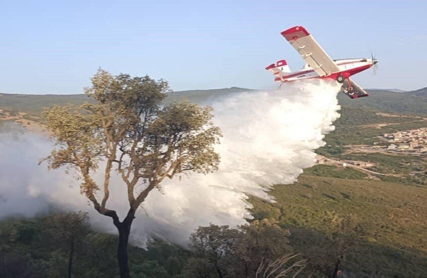 اندلاع حريق على الحدود الجزائرية التونسية (صور)