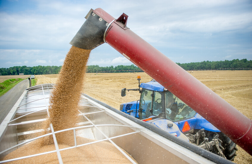 ارتفاع إمدادات القمح الروسي إلى الصين بأكثر من 5 أضعاف