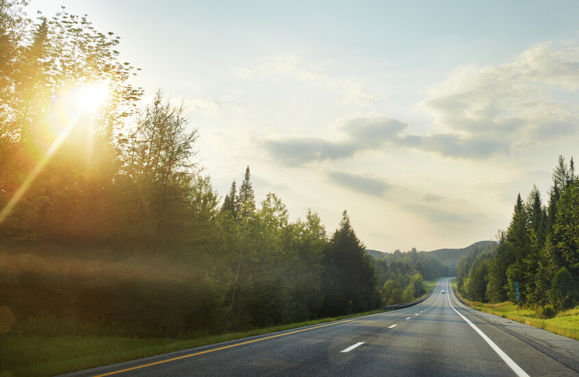 دراسة تظهر ارتباط زراعة الأشجار بانخفاض التهابات الجسم
