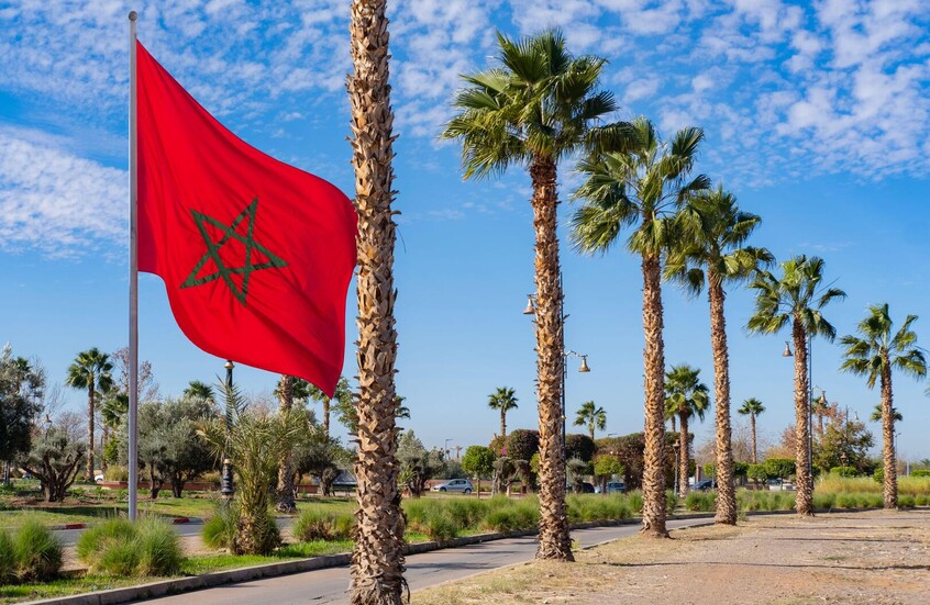 المغرب.. نشطاء البيئة يرفضون تبريرات بنعلي لاستيراد النفايات ويطالبون بدلائل ملموسة