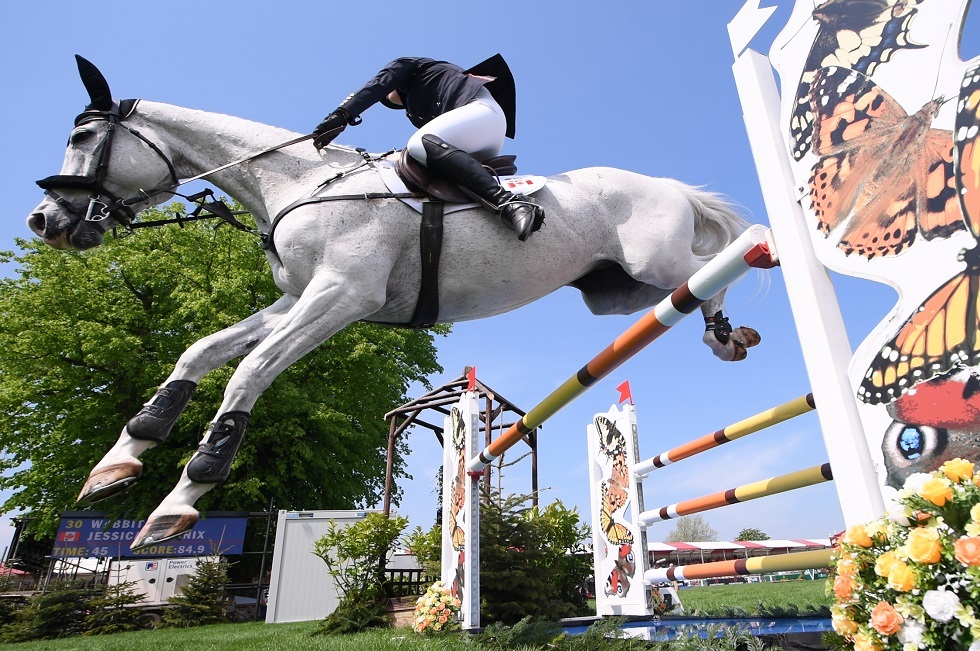 في ضواحي موسكو .. سفير الإمارات يستعرض مهاراته في ركوب الخيل