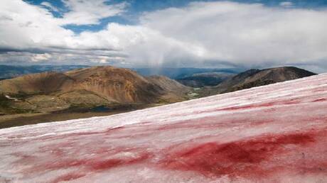 الأنهار الجليدية في جبال ألتاي تتلون بالأحمر!