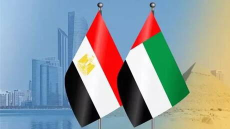 مصر تكشف عن أهم صادراتها إلى الإمارات