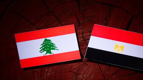 وزير الخارجية المصري يجري اتصالا هاتفيا مع نظيره اللبناني