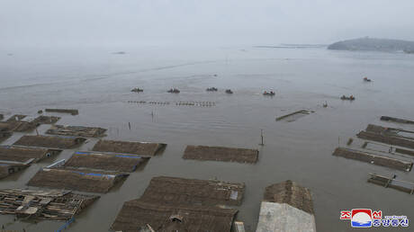 كيم يشكر بوتين على عرضه المساعدة في مواجهة آثار الفيضان