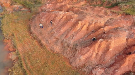 أمطار غزيرة تكشف عن ديناصور عمره 200 مليون سنة في جنوب البرازيل