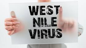 رصد 9 إصابات بحمى "غرب النيل" جنوب إسبانيا