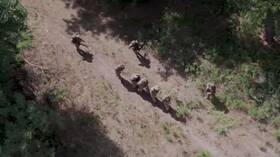 "واشنطن بوست": هجوم قوات كييف على كورسك عطل مفاوضات بين روسيا وأوكرانيا في الدوحة