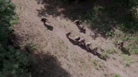 قادة قوات كييف يهددون جنودهم بقصفهم بصواريخ "غراد" إن فكروا بالانسحاب