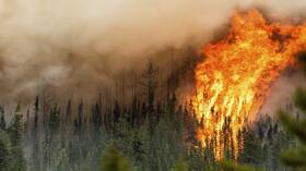 ما أسباب حرائق الغابات في كندا؟