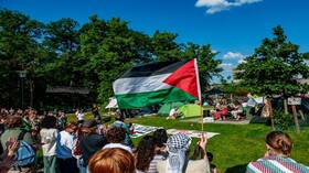 اشتباكات وعمليات اعتقال خلال مظاهرة في برلين بعد إدانة ناشط بسبب هتافه "من النهر إلى البحر" ـ فيديو