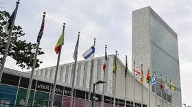 الأمم المتحدة تعلق على منشورات شركات عسكرية أمريكية خاصة تقاتل لصالح أوكرانيا