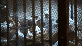 مصر.. إحالة أوراق "سفاح التجمع" إلى المفتي