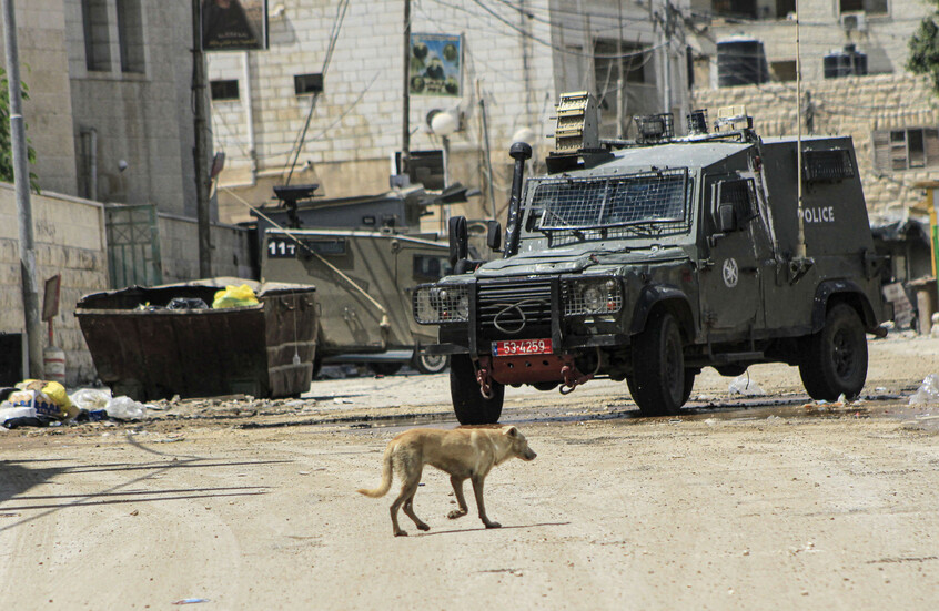 "القسام" تعلن عن كمين محكم استهدف جنودا إسرائيليين في حارة الدمج بمخيم جنين