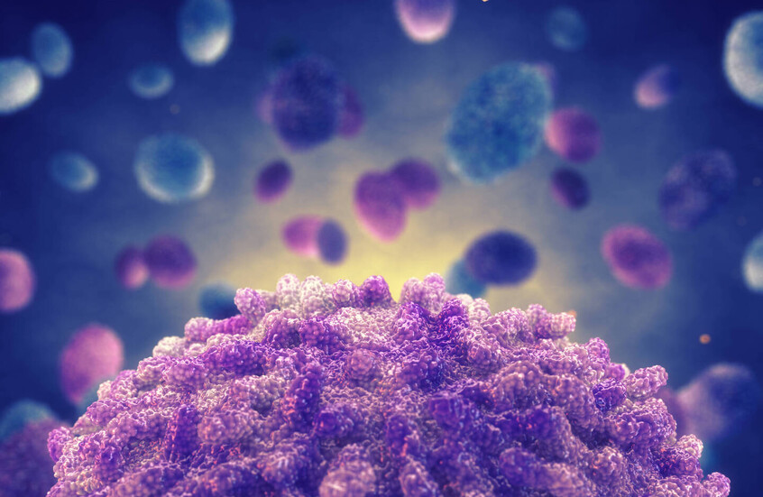 مسؤول صحي أردني يطمئن المواطنين بخصوص "جدري القردة" ويتحدث عن حالة المصاب الوحيد في المملكة