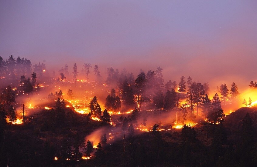 إجلاء أكثر من 5 آلاف شخص في كاليفورنيا الأمريكية بسبب حرائق الغابات الشديدة