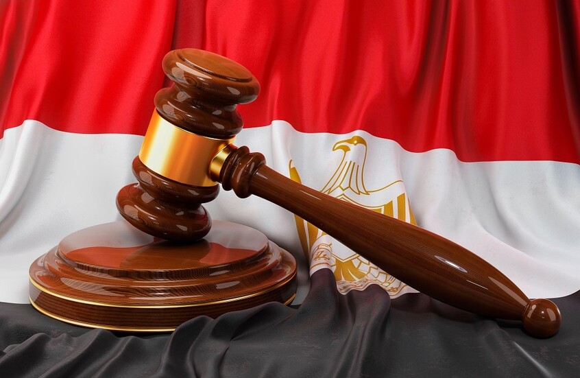 مصر.. قضية قتل مضيفة طيران تونسية لابنتها الرضيعة تتخذ منعرجا جديدا عقب صدور تقرير الطب النفسي