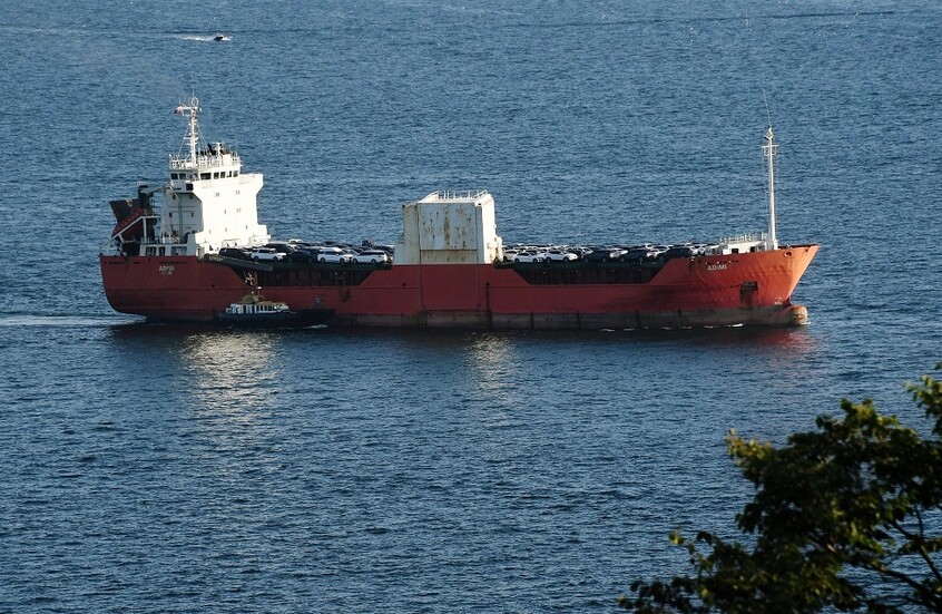 إيسواتيني.. مئات السفن ترفع علم مملكة لا شاطئ لها