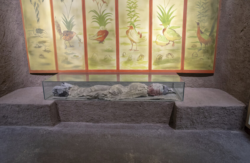 العثور على أقدم عينة جبن في العالم في مقبرة صينية قديمة