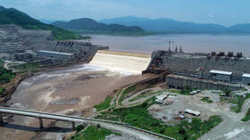 دبلوماسي مصري سابق لـ RT: إثيوبيا تجاوزت مرحلة رفض الاتفاق وباتت تتحدى مصر