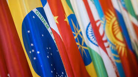 ثمار توسع "بريكس".. مسؤول روسي يتحدث عن زيادة الشحن مع الإمارات