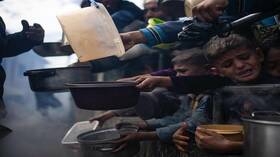 محقق الأمم المتحدة يتهم إسرائيل بشن حملة تجويع ضد سكان قطاع غزة